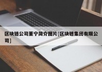 区块链公司董宁简介图片[区块链集团有限公司]